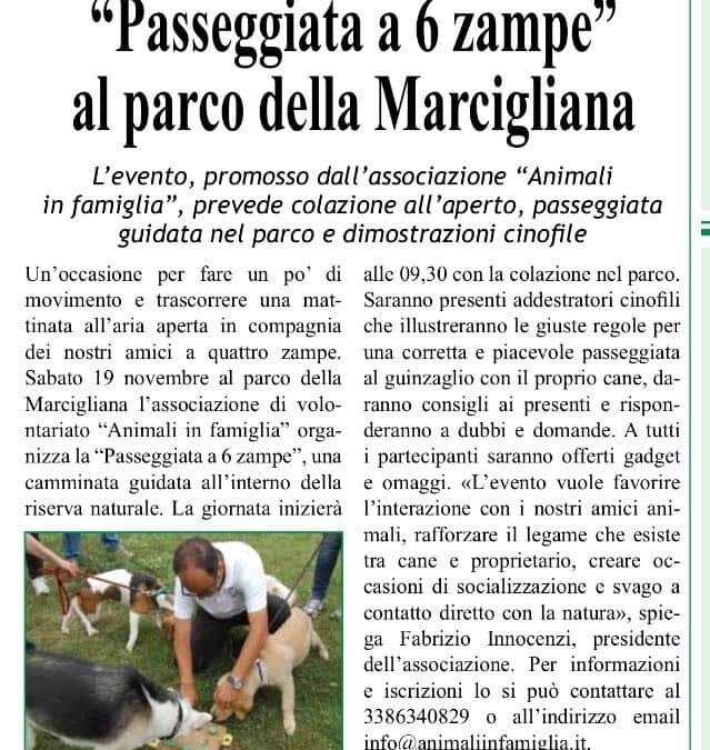 “Passeggiata a 6 zampe” al Parco della Mercigliana