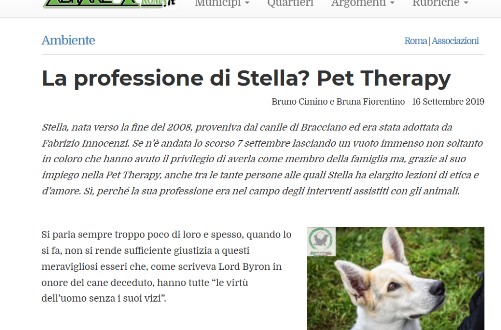 La professione di Stella? Pet Therapy