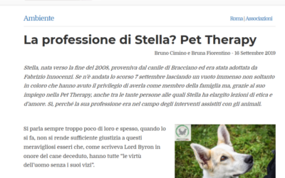 La professione di Stella? Pet Therapy