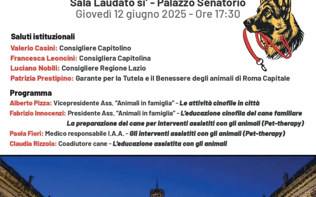 Il Cane In Città
