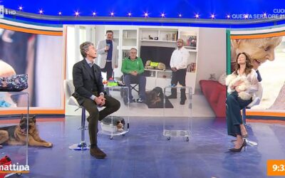 Intervento a Uno Mattina